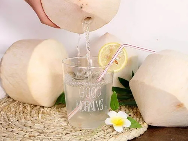 移植完能喝椰子水吗？