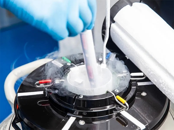 试管冷冻费和胚胎保管费是分开算的吗？