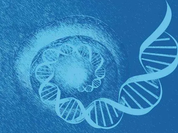 什么是单基因遗传病