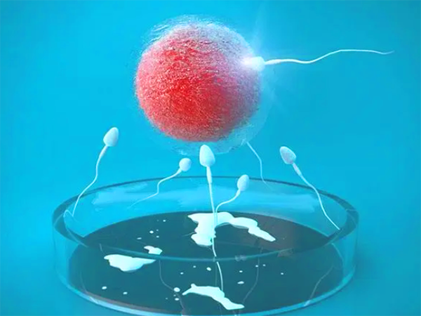 精子是死的可以做试管吗？