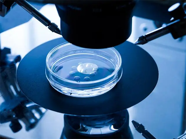 试管婴儿多次胚胎质量会下降吗？