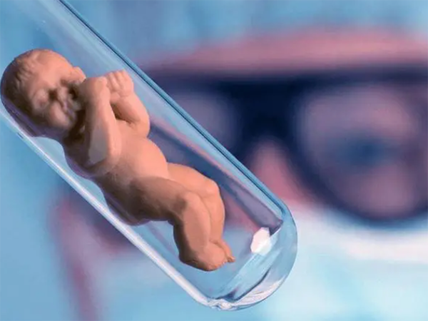 几个胚胎建议养囊？