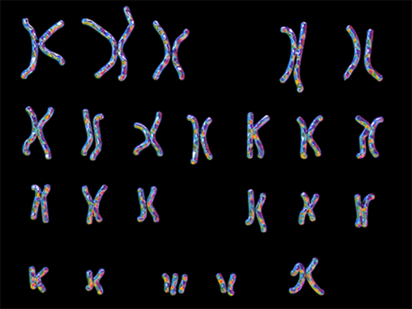 1号染色体异常说明什么？