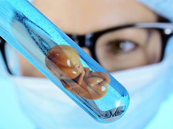 试管囊胚和冻胚价格是多少？
