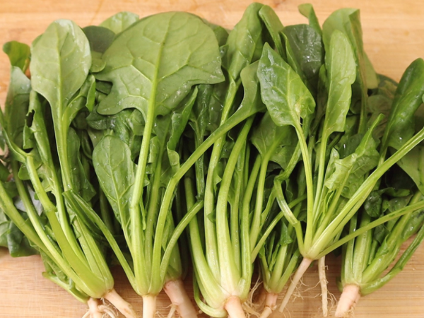补叶酸最快的十种蔬菜是什么