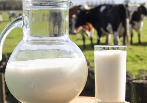 辟谣中医不喝牛奶的原因？