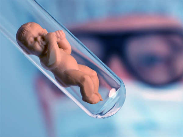 外国试管最多可以放几个胚胎？