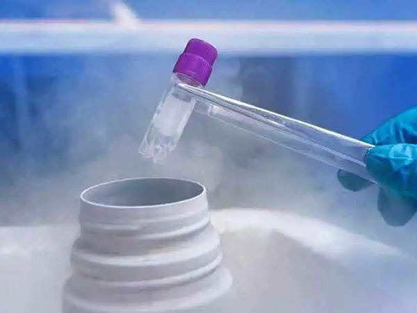 试管胚胎冷冻半年能移植吗？