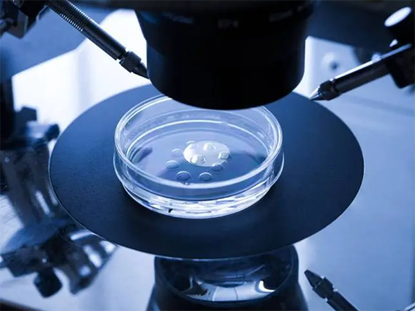 为什么胚胎养囊结果不佳？
