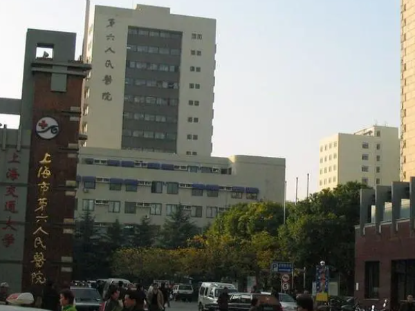 上海六院生殖中心养囊成功率有多少