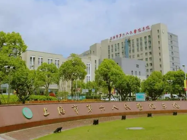 上海六院做试管婴儿医保报销多少