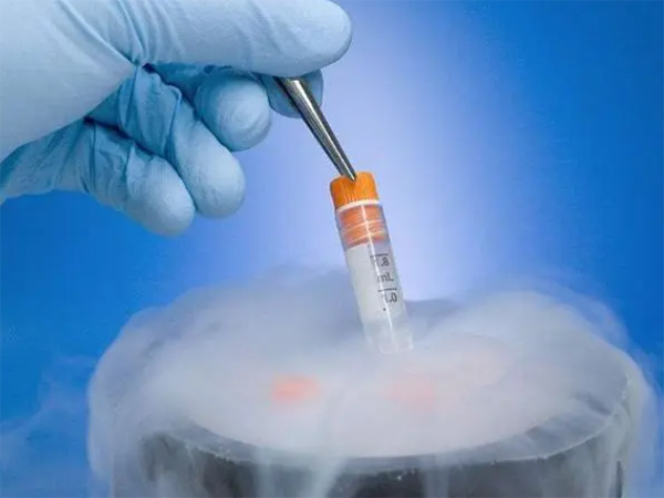 冷冻胚胎如果不办理废弃手续会怎么样？
