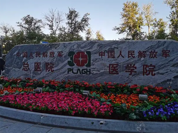 北京301医院试管婴儿医保报销比例