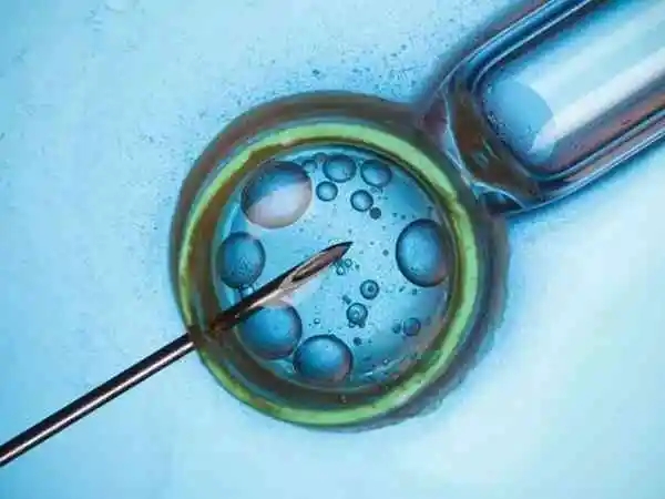 只有五个胚胎可以养囊胚吗？