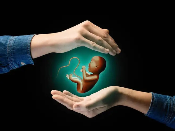 嵌合体胚胎是男方出现问题吗？