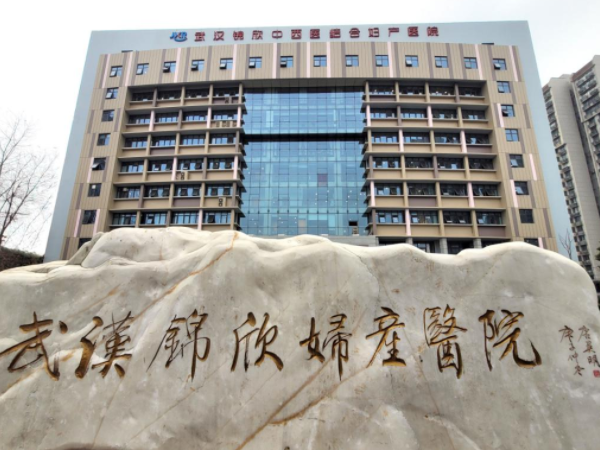 武汉试管排名第一私立医院是哪家？