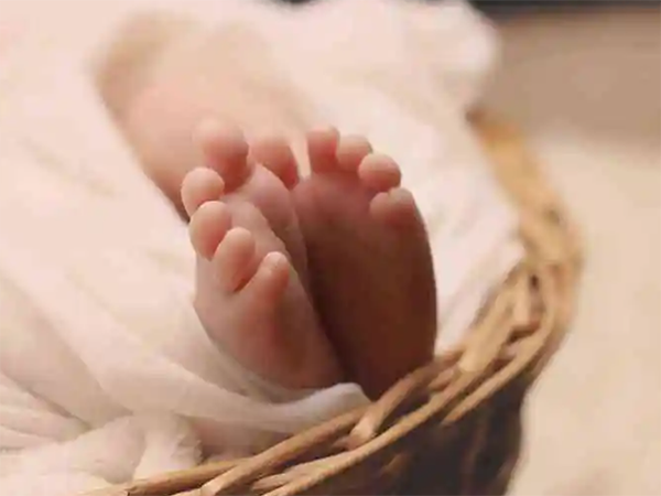 上海瑞金医院供卵试管婴儿流程