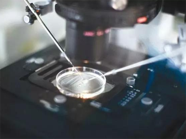 试管胚胎是不是更难生存？