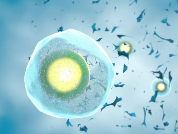 胚胎质量一般医生建议冷冻？