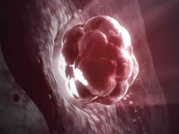 移植胚胎直接移到宫腔左边是不是不利于着床？