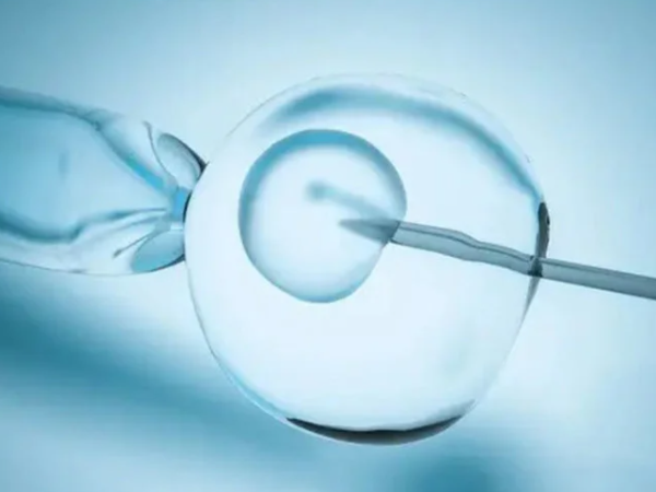 三代试管6个囊胚能筛选几个？