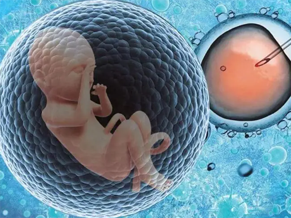 山东齐鲁医院胚胎移植流程