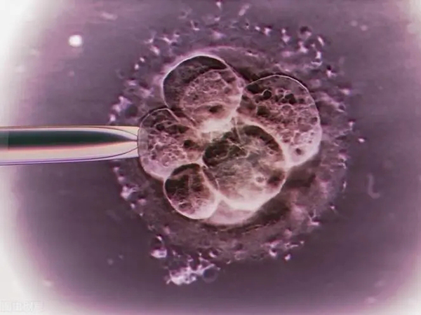 移植3天有褐色分泌物说明胚胎生化了吗？