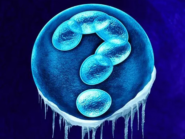 冷冻胚胎二次移植要多长时间？