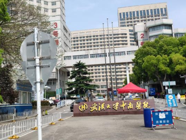 武汉中南医院胚胎培养成功率多少