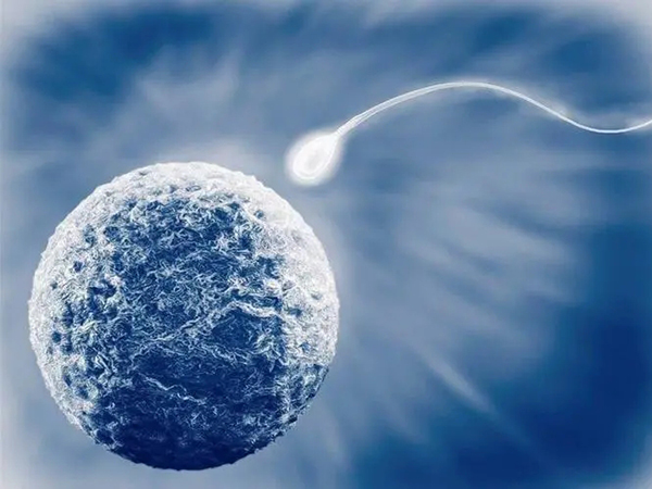 优质胚胎为啥没养成囊胚？