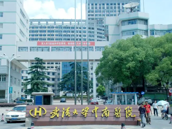 武汉中南医院试管婴儿费用多少