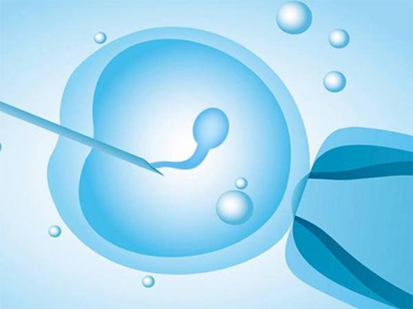 三级冷冻胚胎移植成功率有多少？