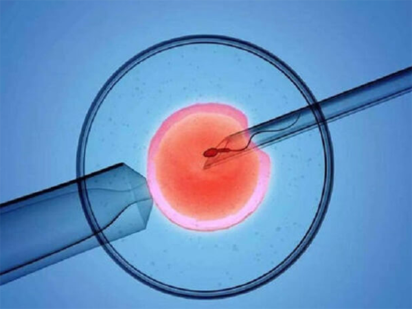 养囊成功的胚胎是不是都是好胚胎？