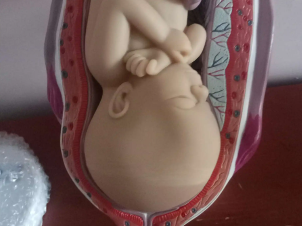 胎儿已入盆的5个症状是什么