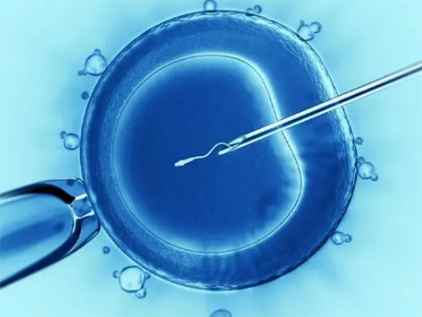 短效长方案能不能移植鲜胚？