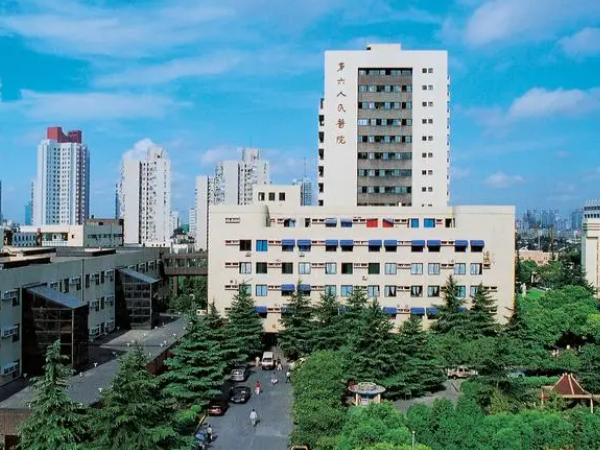 上海六院试管婴儿成功率