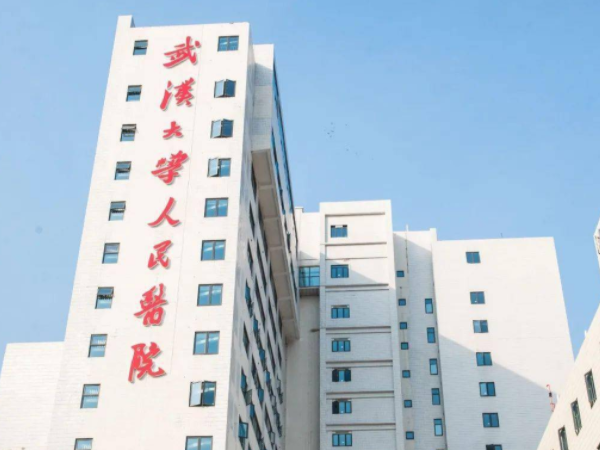 武汉大学人民医院三代供卵试管费用