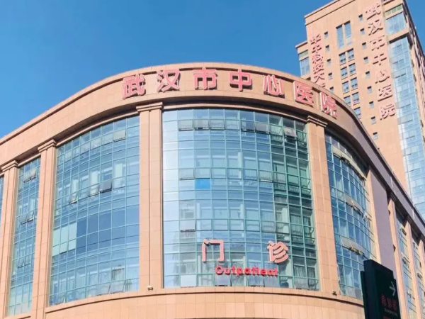 武汉中心医院做试管多少钱