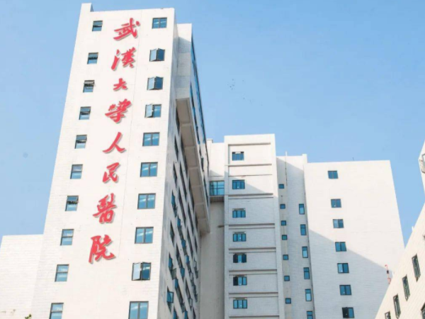 武汉大学人民医院试管成功率多少