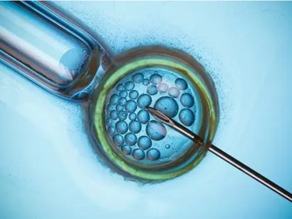 试管囊胚筛查通过率是多少