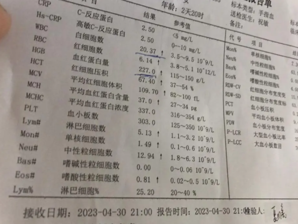 白细胞高能不能移植鲜胚