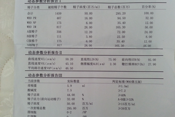 精子活力强有什么危害