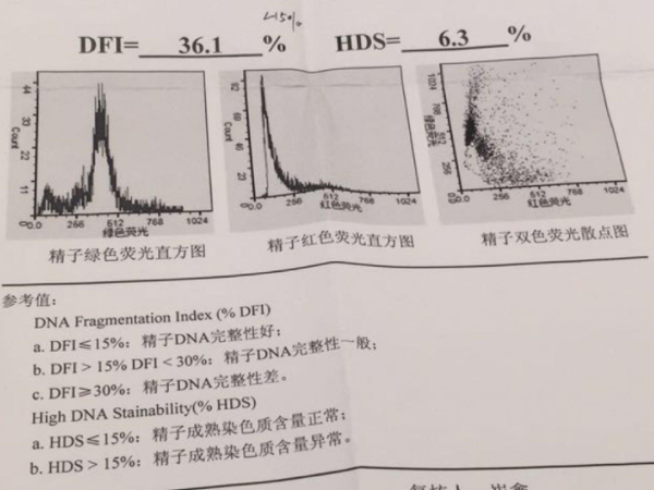 精子碎片率高会不会胎停