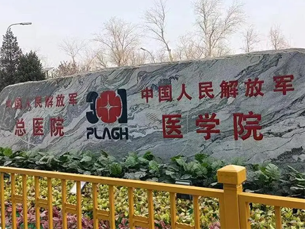北京301医院做试管婴儿的成功率高不高
