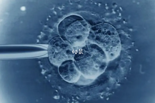3CC囊胚移植7-10天能测出怀孕
