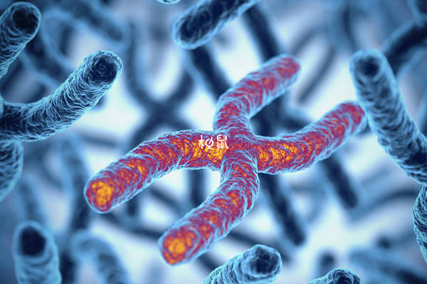 22号染色体缺失可能会遗传
