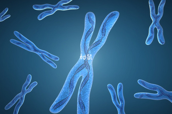 女性染色体45x可以做试管