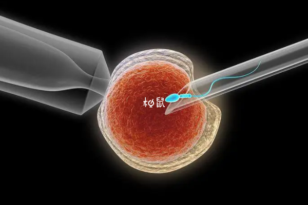 6AB囊胚移植3-5天能着床