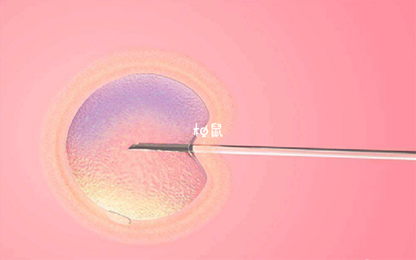 囊胚移植第七天出血需要先观察