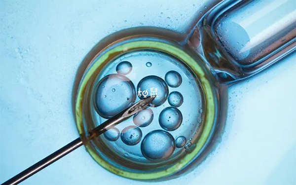 移植囊胚第16天有血块需要去检查